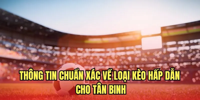 Thông tin chuẩn chỉ về loại kèo hấp dẫn cho tân binh